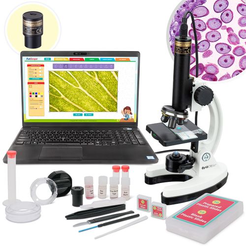 meilleur microscope amscope