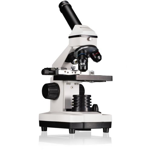 meilleur microscope